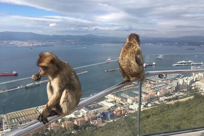 Gibraltar Sightseeing : Classic Rock Tour plus World War 2 Tunnels (Private) - Price and value at $566.29 per person, private for about 2 hours 45 minutes