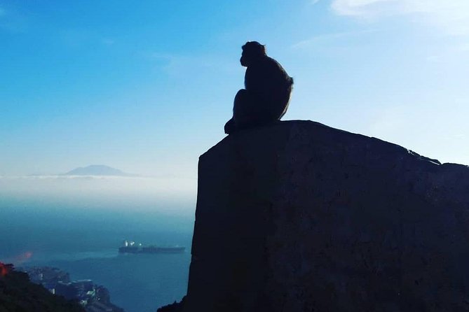 Gibraltar Sightseeing : Extended Rock Tour / Shore Excursion (Private) - A 2.5-hour route that actually fits a shore day