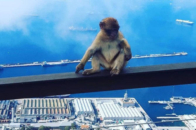 Gibraltar Sightseeing : Extended Rock Tour / Shore Excursion (Private) - Weather matters, and you should plan around it