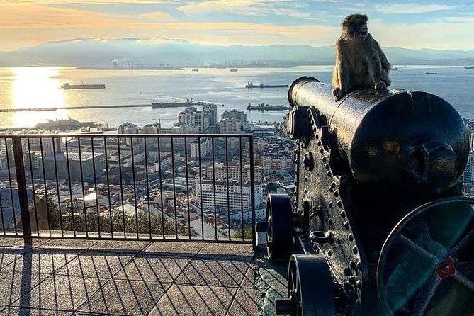 Gibraltar Sightseeing :SKYWALK AND SUSPENSION BRIDGE TOUR (Private) - Stop 4, St. Michael’s Cave: A Caves Stop Without the Detour