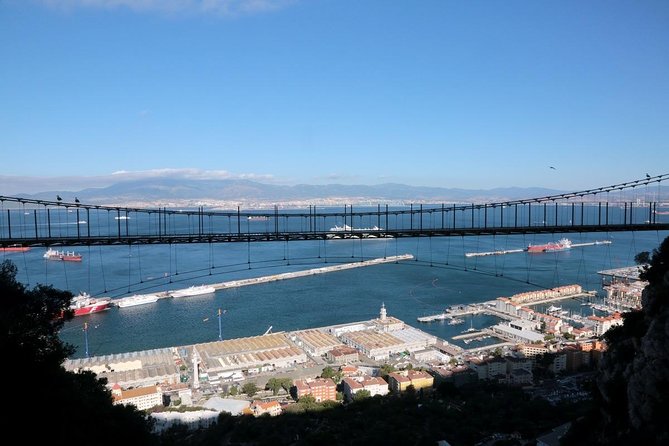Gibraltar Skywalk & Bridge tour and Much More 3.30hrs - Gibraltar in One Half-Day Loop: what makes this tour work