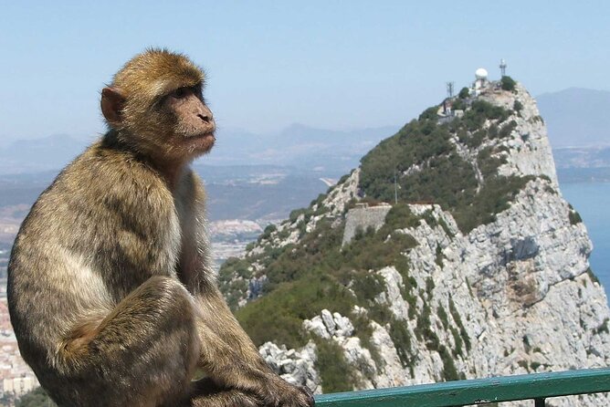 Gibraltar with St Michael Caves Guided Tour from Costa del Sol - British Gibraltar, Caves, and Shopping in One 11-Hour Day