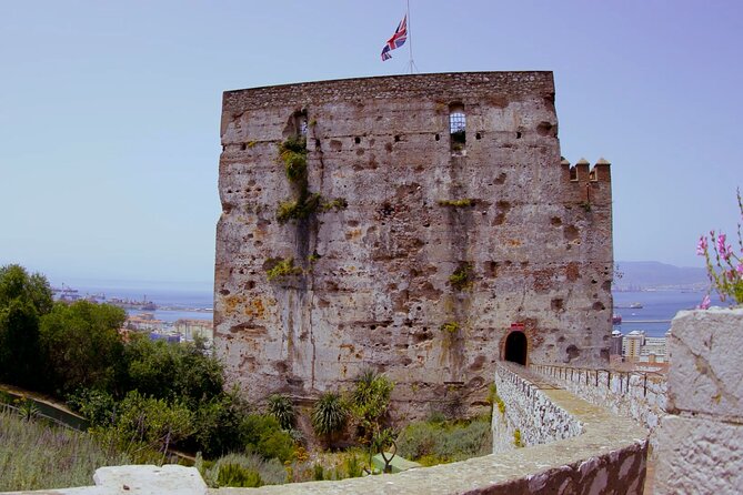 Go Tours 360° Experience in Gibraltar with Professional Guide - The Rock of Gibraltar Nature Reserve: macaques, flora, and a sense of place