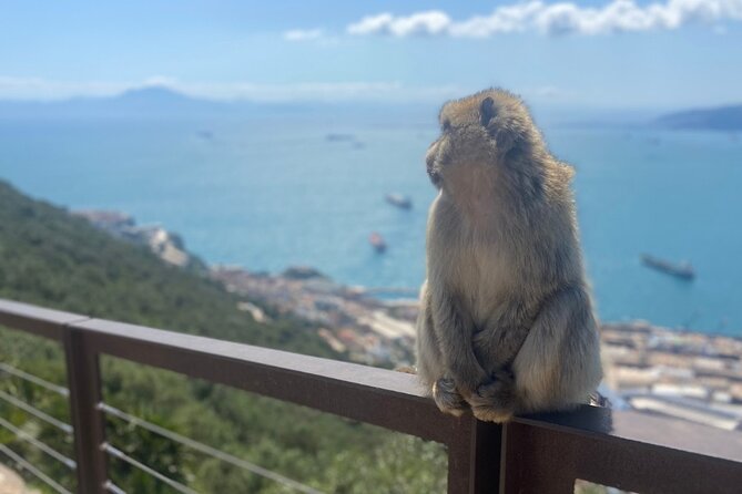 Go Tours Private Rock Experience Tour in Gibraltar - The Route Starts With Views at the Pillars of Hercules