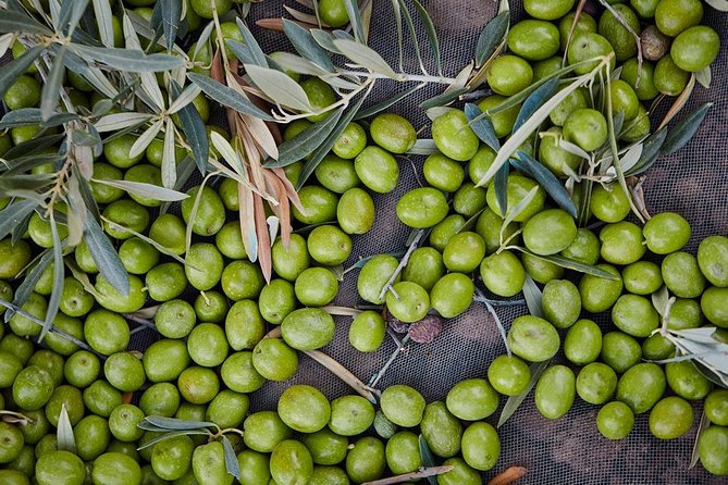 Gourmet Cooking Class & Culture in the rural Montes de Malaga. - Your hands-on 4-course lunch: what you will cook and how it lands