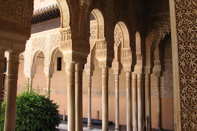 Granada Full Day Tour From Malaga - Walking pace and bus logistics, the stuff that can make or break the day