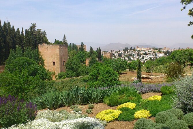 Granada Full Day Tour From Malaga - Language and guide style, what changes your experience most
