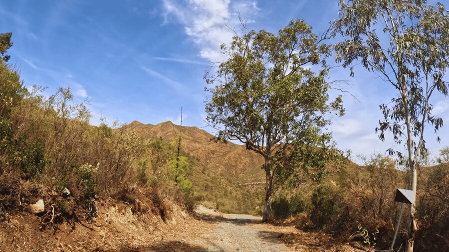 Guided Buggy Tour Mijas - Mirador de las Águilas photo stop, then back into guided Sierra driving
