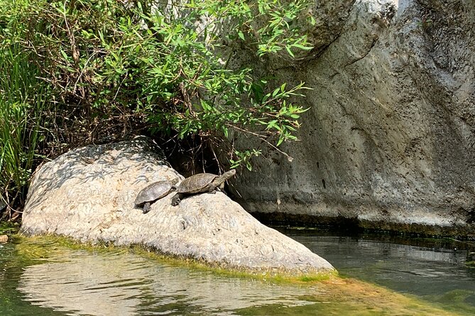 Guided Canyoning Adventure Near Marbella (Benahavís River Walk) - Timing, Meeting Point, and How the 3 Hours Feel