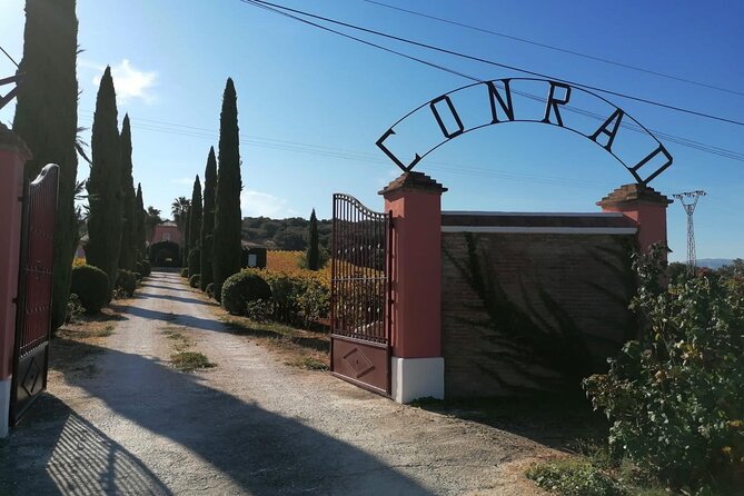 Guided Cellar Tour and wine tasting - Key things I’d circle before you book