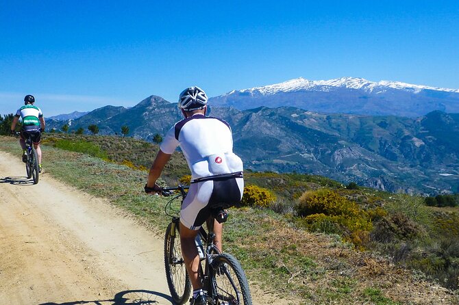 Guided Mountain Bike Adventure - Key Highlights to Know Before You Go