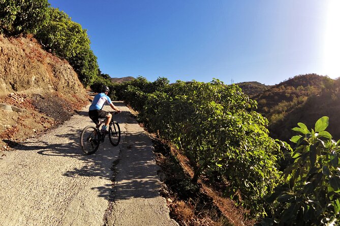 Guided Mountain Bike Adventure - Mountain and Sea Views: The Real Payoff for Endurance Climbs