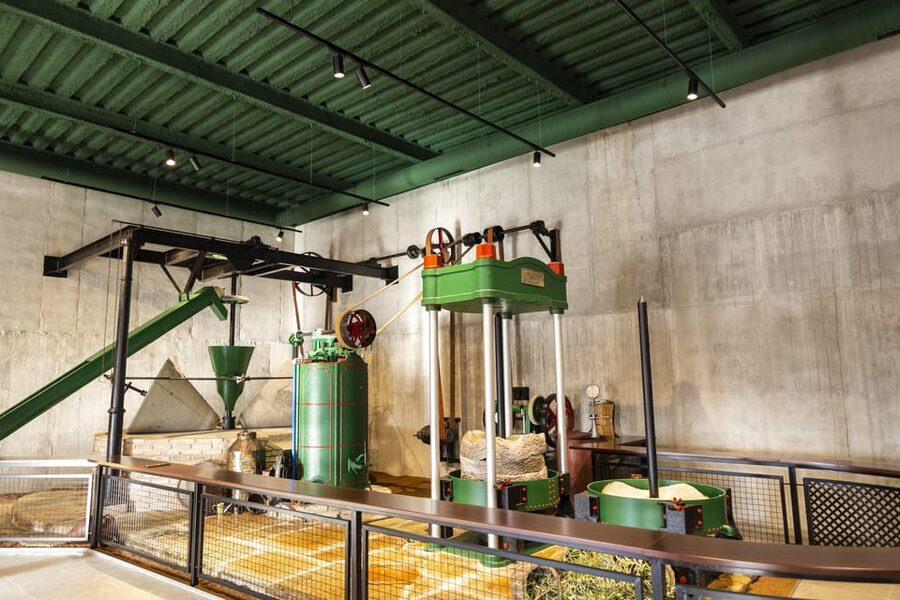 Guided tour and oil tasting at the Aceites Molisur factory - The Oil Museum and the Mill in Operation