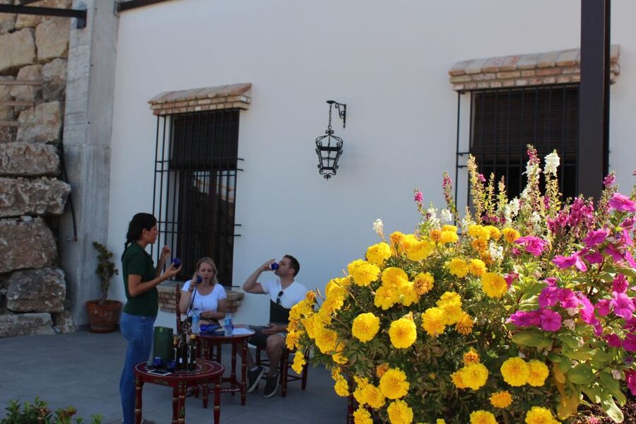 Guided tour and oil tasting at the Aceites Molisur factory - From Reception to Storage: Watching Production Steps Close the Loop