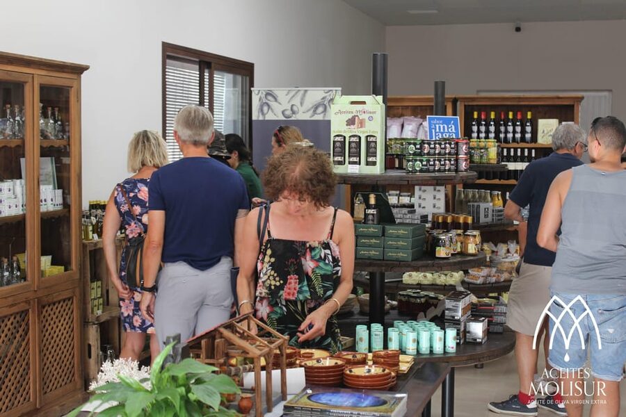 Guided tour and oil tasting at the Aceites Molisur factory - Getting There Without Stress: What to Plan
