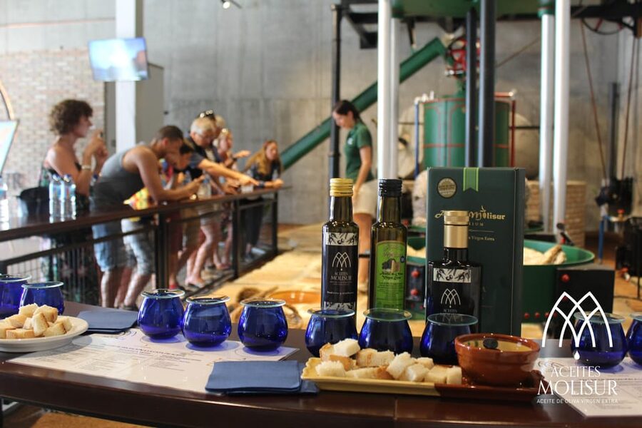 Guided tour and oil tasting at the Aceites Molisur factory - Century-Old Olive Trees and How the Garden Shapes the Oil