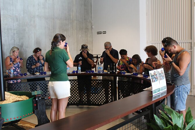 Guided tour and olive oil tasting in Alhaurin el Grande (Málaga) - Key things to know before you go