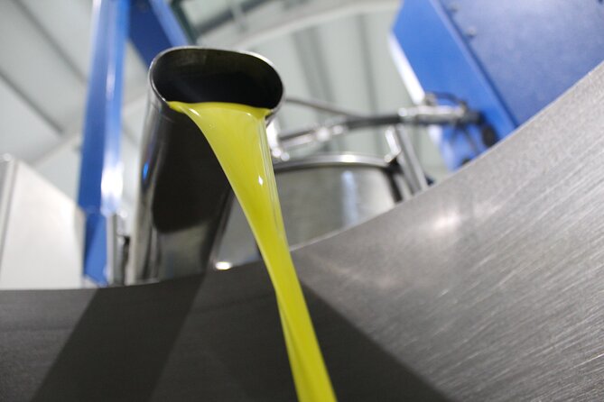 Guided tour and olive oil tasting in Alhaurin el Grande (Málaga) - The three-oil tasting: how you learn to notice differences fast