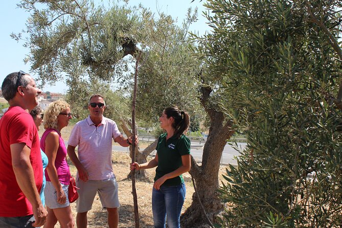 Guided tour and olive oil tasting in Alhaurin el Grande (Málaga) - The museum and centennial mill machinery, more than just old photos