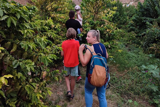 Guided Tour to the only coffee farm in Europe - The guide factor: why Manolo Mateos is the star of this tour
