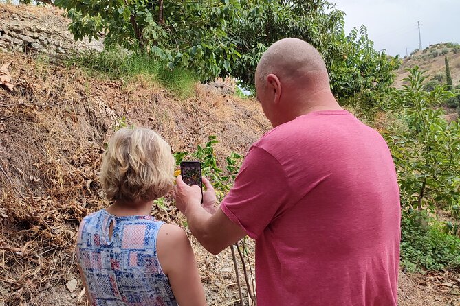 Guided Tour to the only coffee farm in Europe - Price, group size, and why $18.15 can make sense
