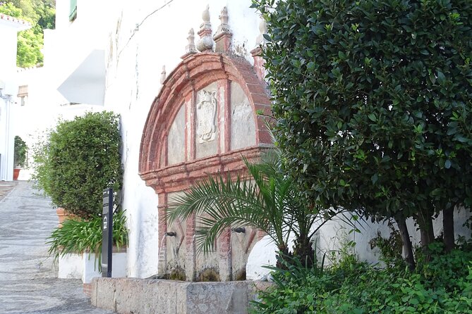 Guided Walking Tour of the Old Town of Frigiliana - Key things you will like