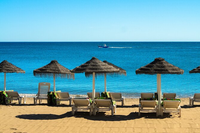 Half-Day Private Taxi Tour to Malaga Historic Center - Pickup points and the mobile ticket, so you do not lose time