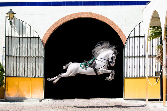 Horse and Flamenco Show in Malaga - Key highlights worth your attention
