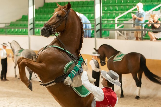 Horse and Flamenco Show in Malaga - Your 1.5 hour itinerary, check-in to arena seats