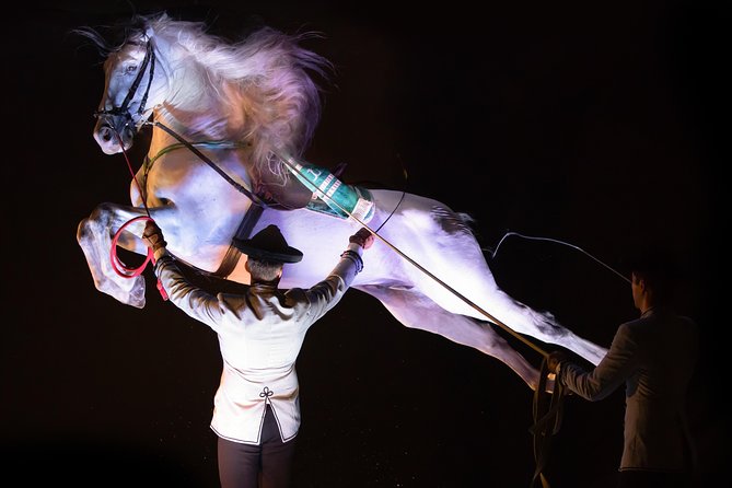 Horse and Flamenco Show in Malaga - Flamenco dancing on the same program, how to set expectations