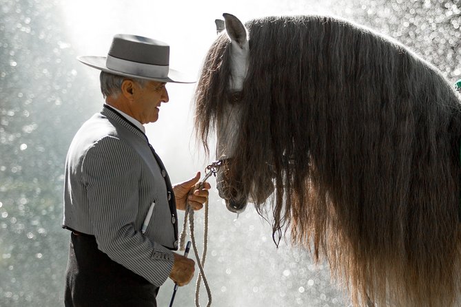 Horse and Flamenco Show in Malaga - Price and value in Malaga, what $41 buys you