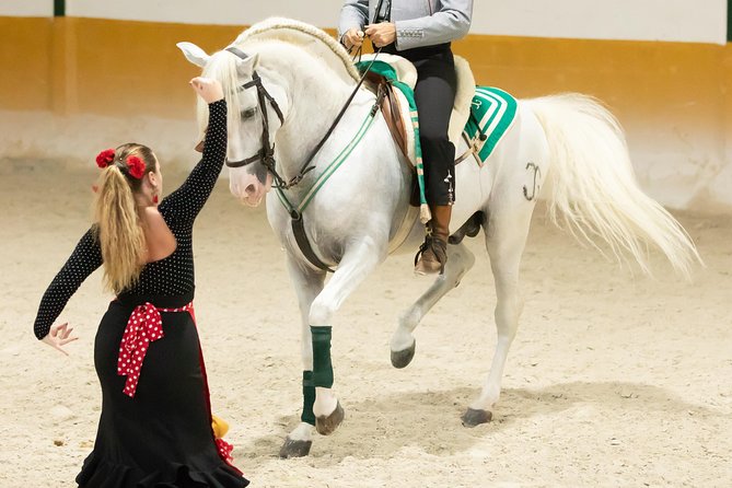 Horse and Flamenco Show in Malaga - Comfort, heat, and getting there without stress