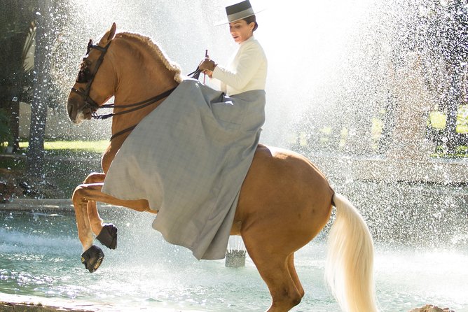 Horse and Flamenco Show in Malaga - Animal welfare concerns, what to weigh before you book