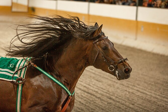 Horse and Flamenco Show in Malaga with Dinner - Transfer and end location, how to avoid the last-minute scramble