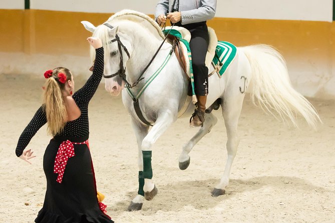 Horse and Flamenco Show in Malaga with Dinner - Price and value, what you are really buying for $86.57
