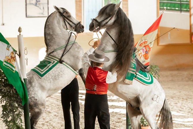 Horse and Flamenco Show in Malaga - How Ritmo a Caballo works, rhythm, discipline, and the horse choreography