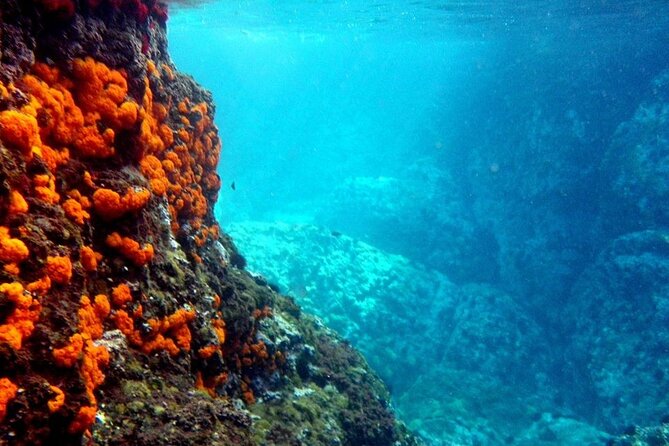 Kayak & Snorkel Tour in Cerro Gordo Natural Park, La Herradura - Key highlights at a glance