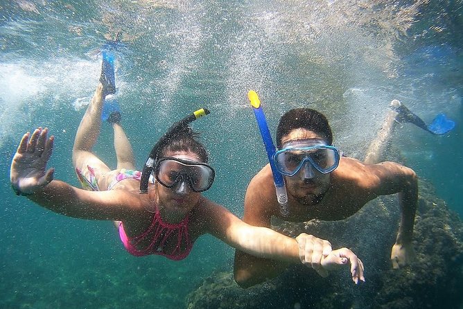 Kayak & Snorkel Tour in Cerro Gordo Natural Park, La Herradura - Snorkeling in caves and coves: what you might see