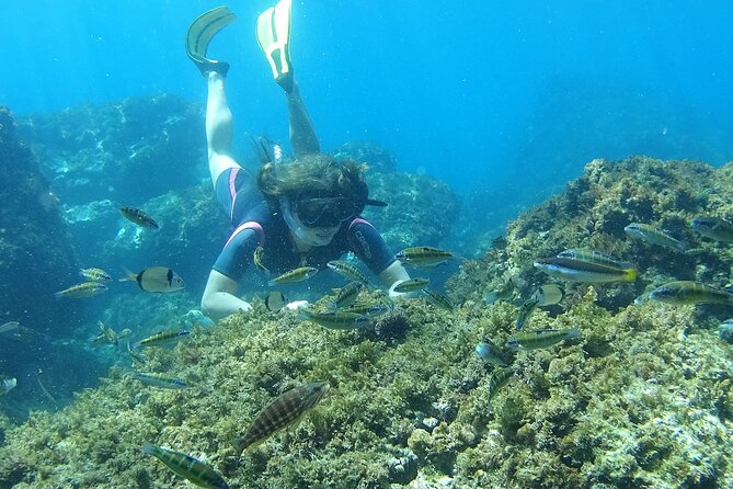Kayak & Snorkel Tour in Cerro Gordo Natural Park, La Herradura - How long is it, and what intensity feels like in real life