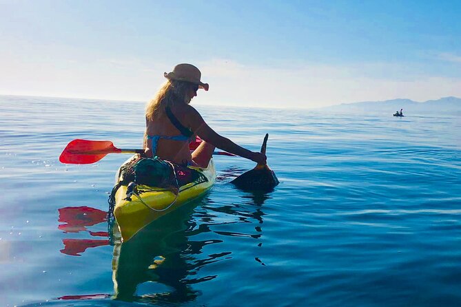 Kayak & Snorkel Tour in Cerro Gordo Natural Park, La Herradura - Who this tour suits best