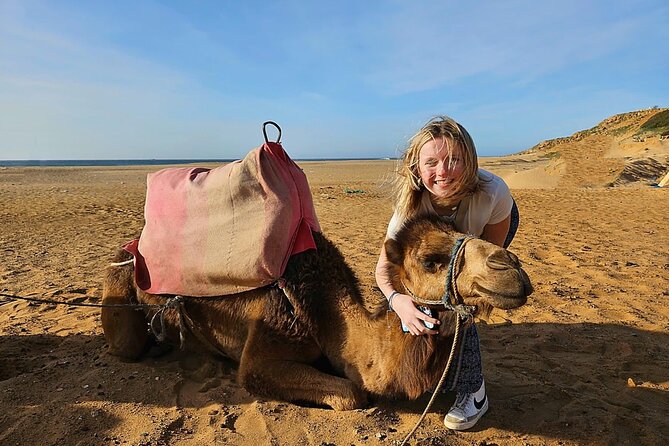 Luxury Malaga to Tangier Day Trip: Transfer, ferry, camel & Souks - Tangier Medina and Souks, where you learn to walk like a local