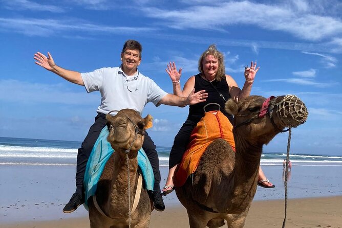 Luxury Private Tour of Tangier from Gibraltar All Inclusive - From Gibraltar to Morocco, without the usual scramble