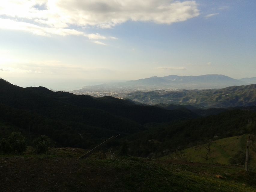 Málaga: 4-Hour Premium E-Bike Tour with Panoramic Views - Price and Value: What You Get for Around $97