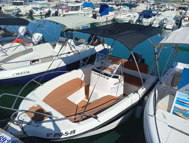 Malaga: 5-Seater Speedboat Boat Rental Without a License - Dolphins, beaches, and the coastline from sea level