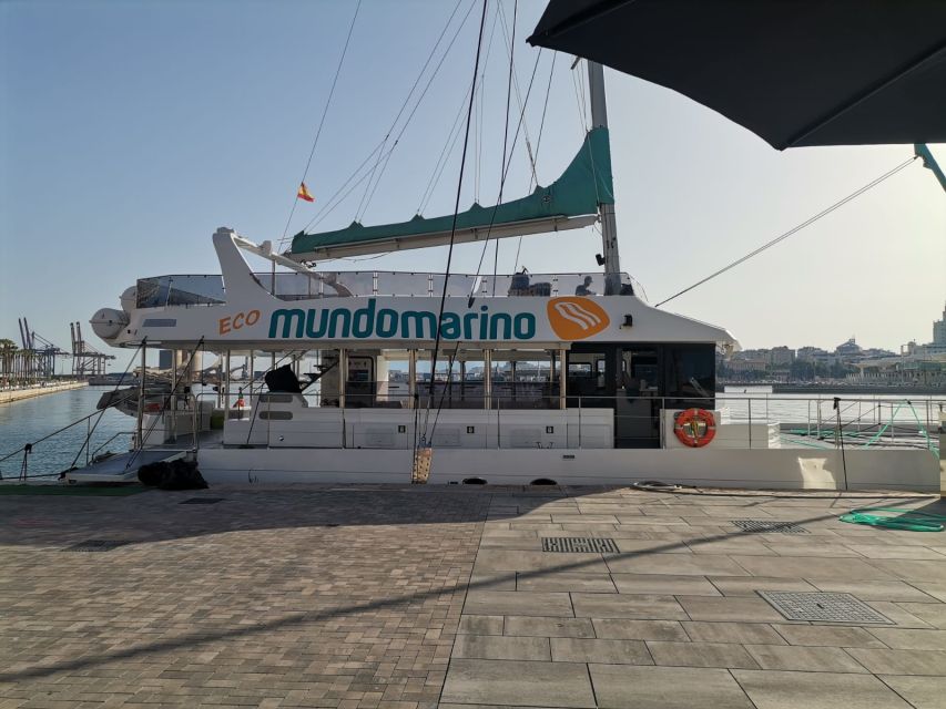 Malaga: A Sea of Stars Nighttime Stargazing Catamaran Tour - Key Things to Know Before You Go