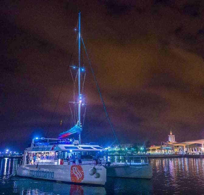 Malaga: A Sea of Stars Nighttime Stargazing Catamaran Tour - Malaga’s Night Skyline: Pretty, Practical, and Not Just a Background