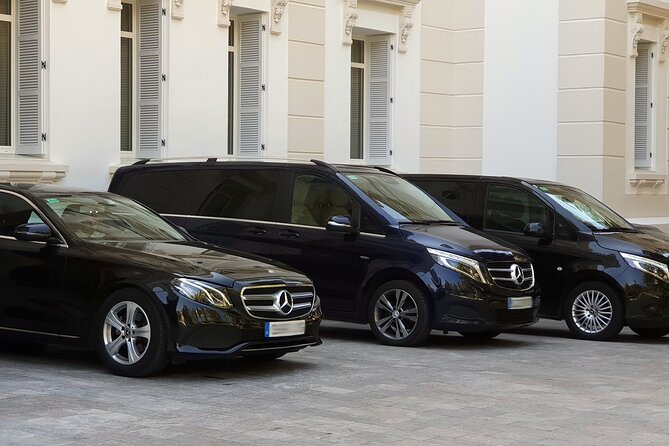Malaga Airport (Costa del Sol) Private Arrival Transfer - Key things to know before you go