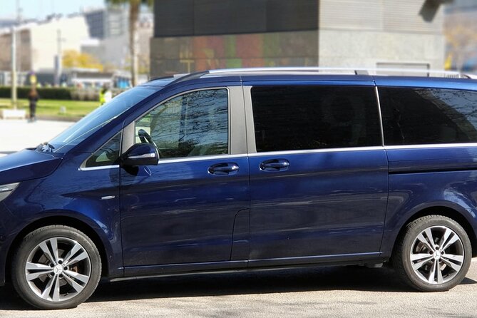 Malaga Airport (Costa del Sol) Private Arrival Transfer - Timing, flight delays, and staying in control