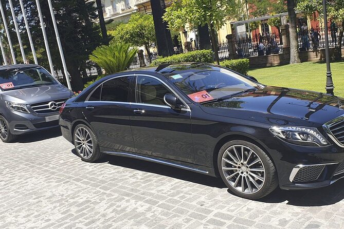 Malaga Airport (Costa del Sol) Private Arrival Transfer - Service reliability: what to watch so you avoid problems