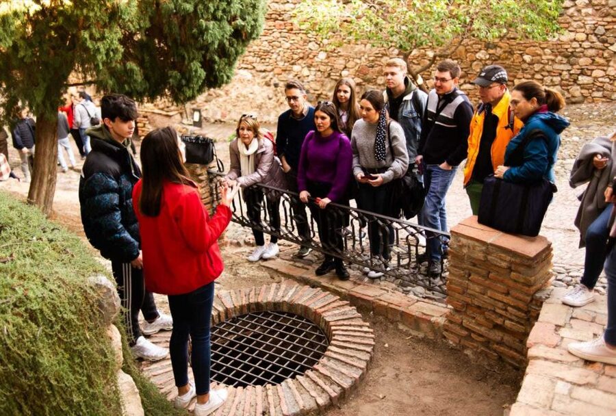 Málaga: Alcazaba and Roman Theatre Guided Tour With Entry - Should you book it? My practical decision guide